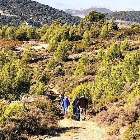 Luxueux Mas Provencal Avec Piscine Au Pied Du Mont Ventoux * Aubignan